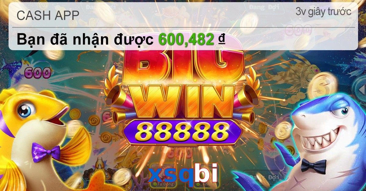 xsqbi