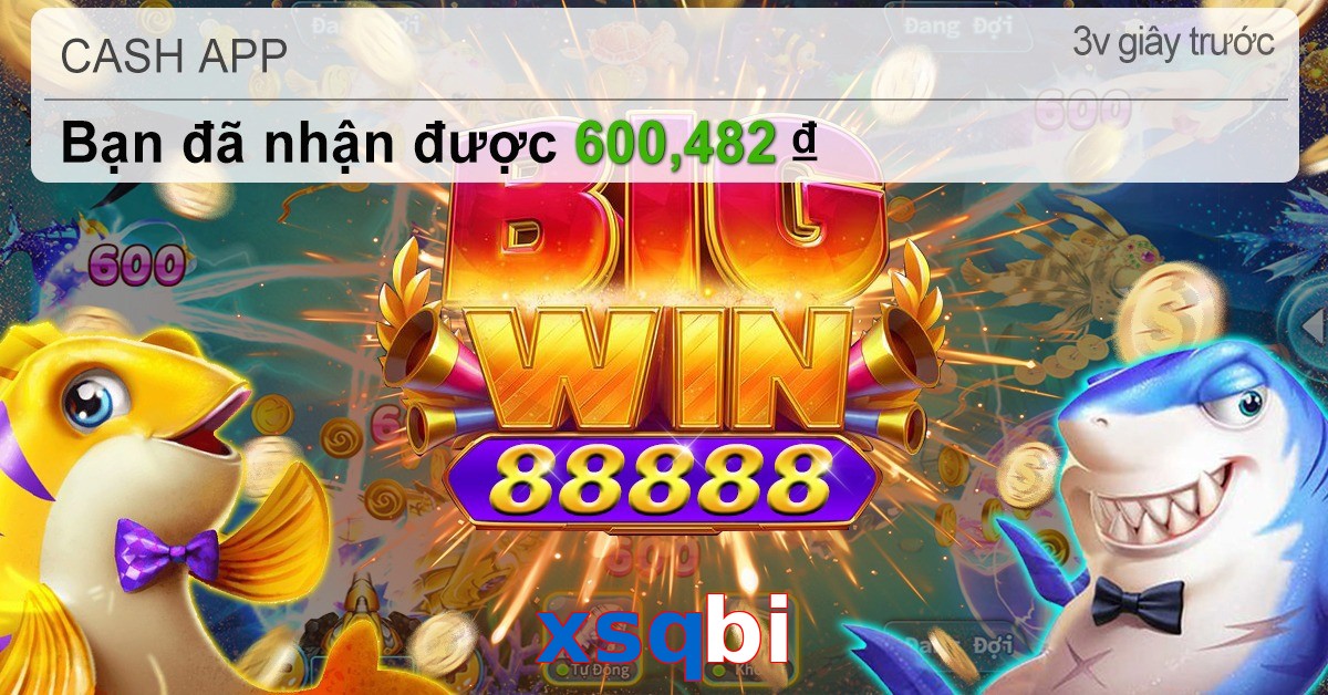 xsqbi